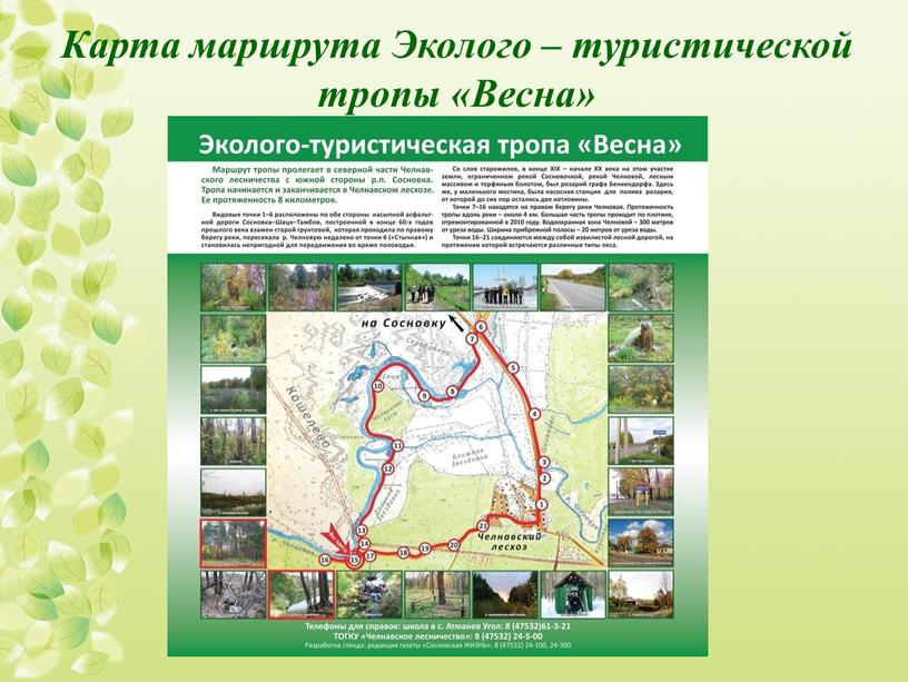 Карта маршрута Эколого – туристической тропы «Весна»