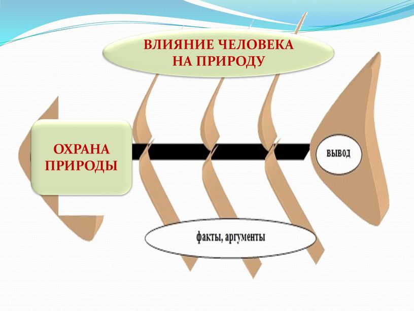 ОХРАНА ПРИРОДЫ ВЛИЯНИЕ ЧЕЛОВЕКА