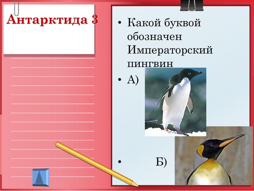 Антарктида 3 Какой буквой обозначен