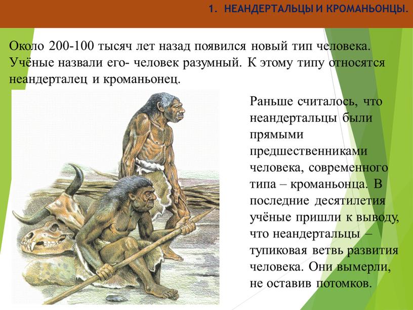 НЕАНДЕРТАЛЬЦЫ И КРОМАНЬОНЦЫ. Около 200-100 тысяч лет назад появился новый тип человека