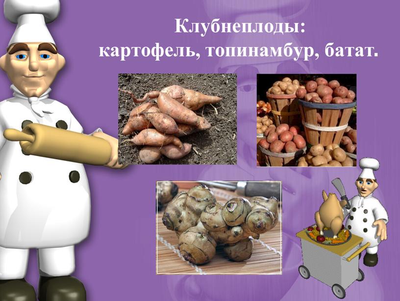 Клубнеплоды: картофель, топинамбур, батат