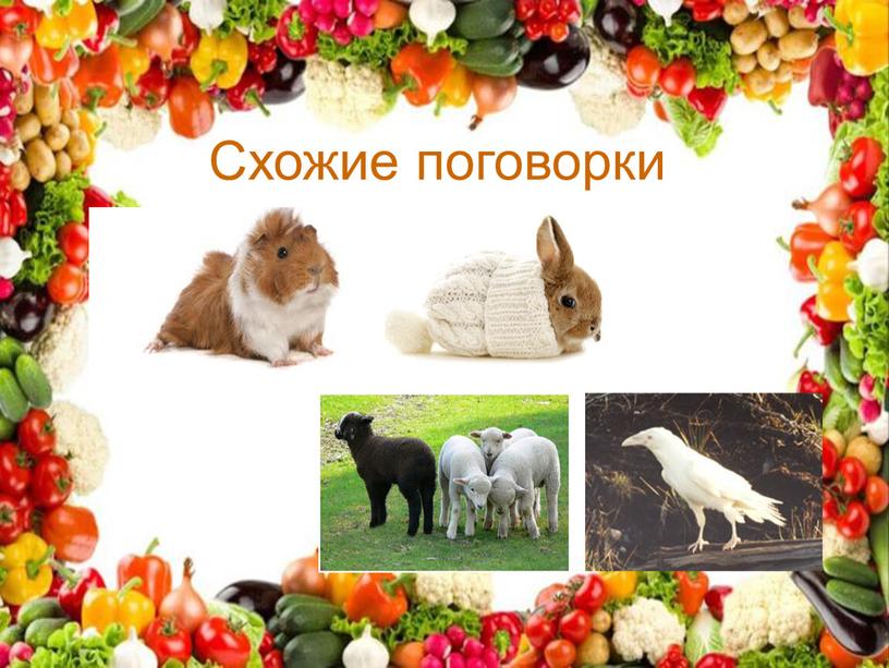 Схожие поговорки