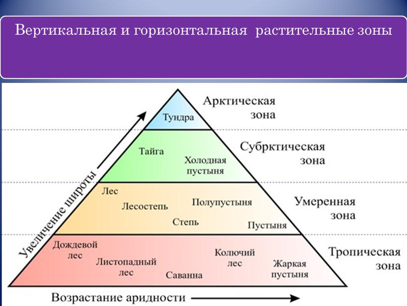 Наземные экосистемы