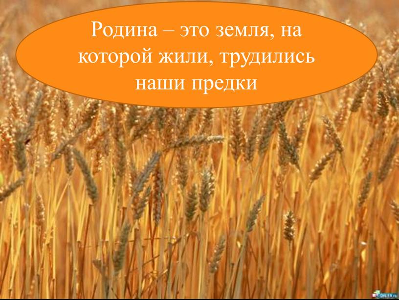 Родина – это земля, на которой жили, трудились наши предки