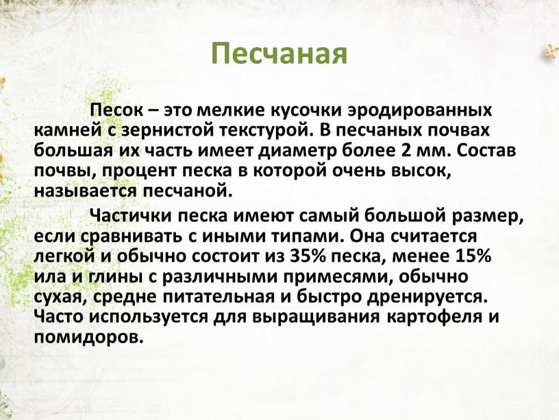 Песчаная Песок – это мелкие кусочки эродированных камней с зернистой текстурой