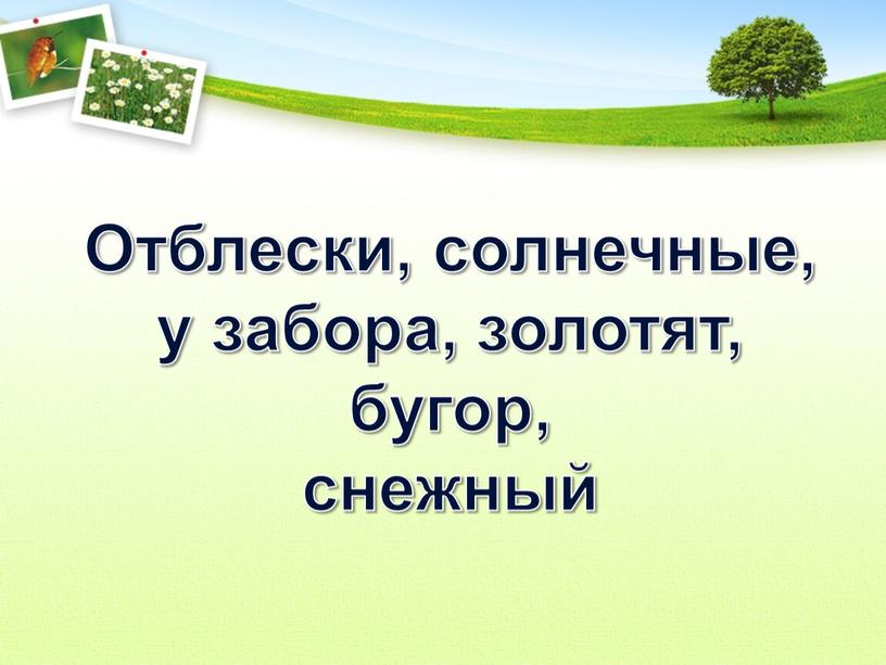 Отблески, солнечные, у забора, золотят, бугор, снежный