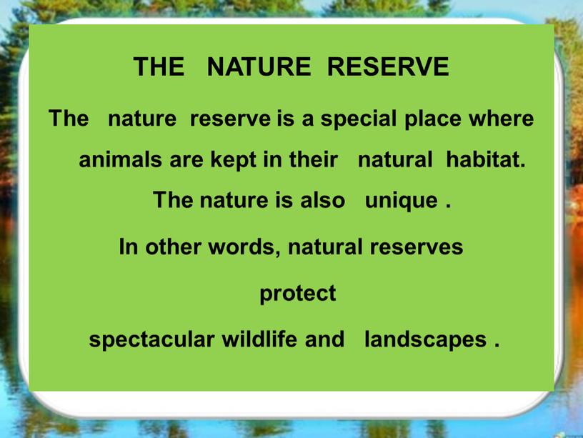 THE NATURE RESERVE The nature reserve is a special place where animals are kept in their natural habitat