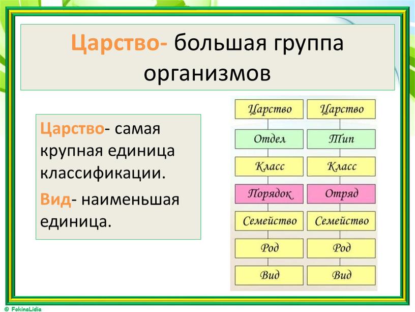 Царство- большая группа организмов