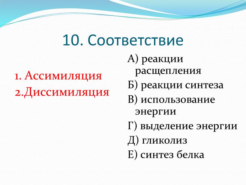 Соответствие 1. Ассимиляция 2