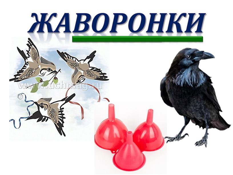 жаворонки