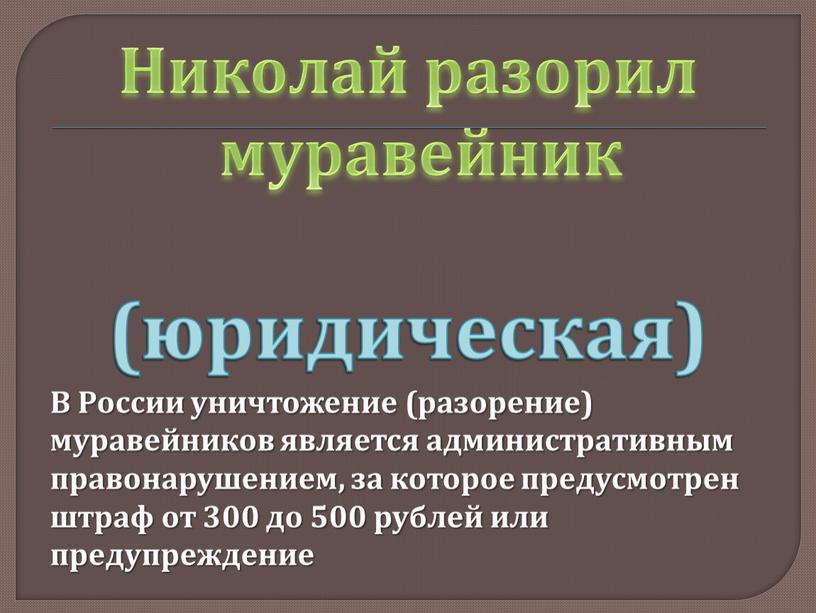 Николай разорил муравейник (юридическая)