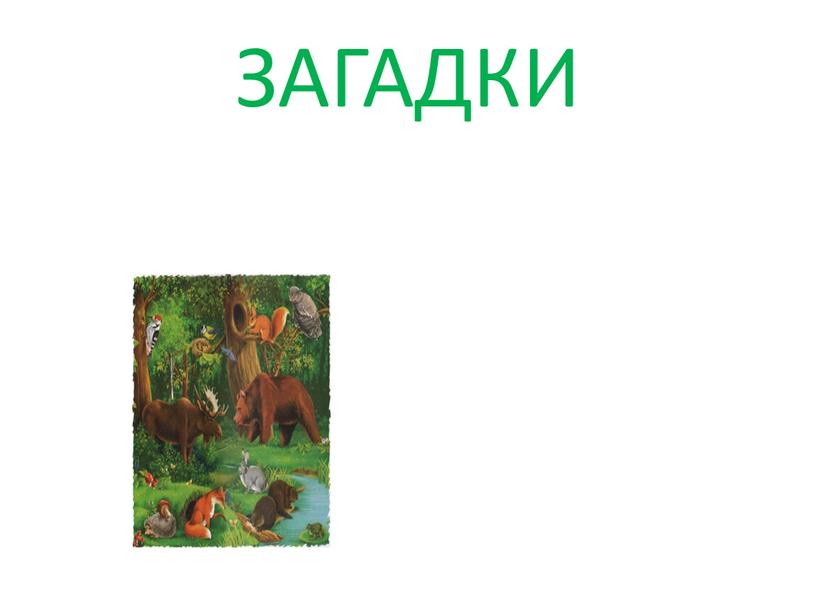 ЗАГАДКИ