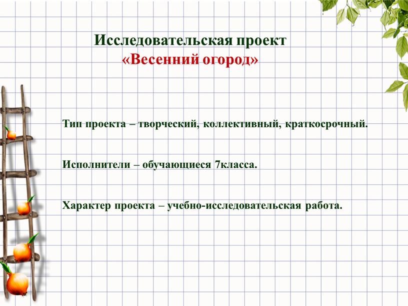 Исследовательская проект «Весенний огород»