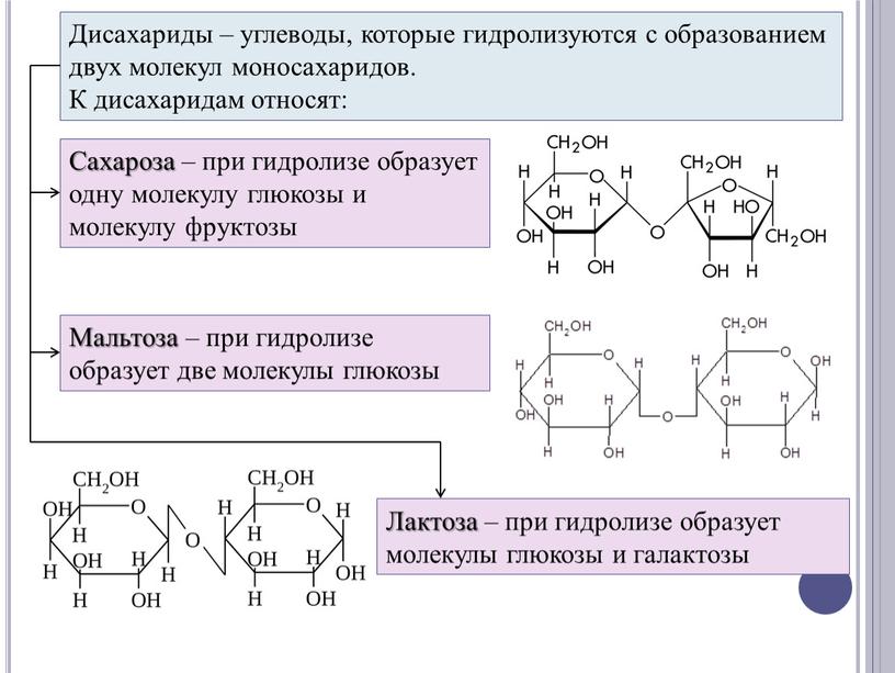 Дисахариды – углеводы, которые гидролизуются с образованием двух молекул моносахаридов