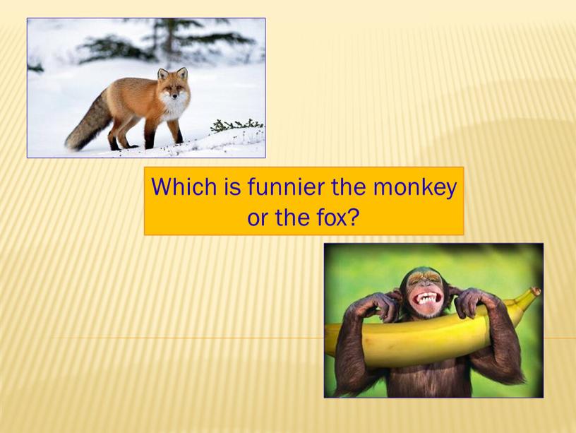 Which is funnier the monkey or the fox?