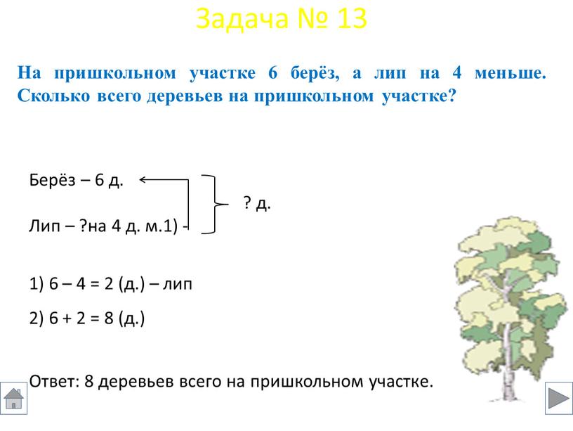 На пришкольном участке 6 берёз, а лип на 4 меньше