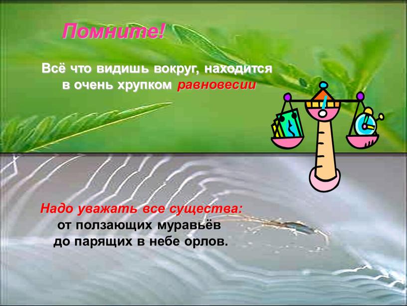 Надо уважать все существа: от ползающих муравьёв до парящих в небе орлов