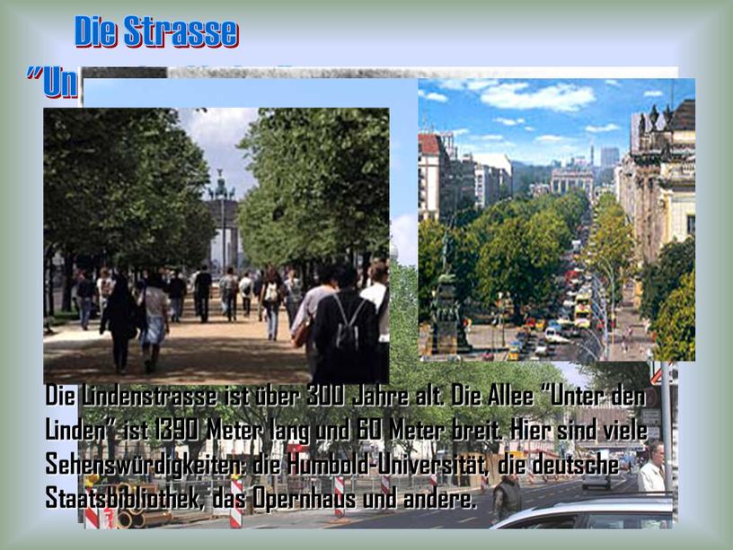 Die Strasse "Unter den Linden"