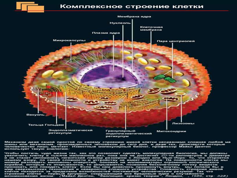 Гипотезы возникновения жизни