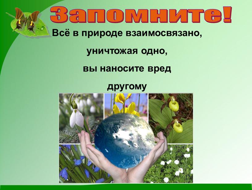 Запомните! Всё в природе взаимосвязано, уничтожая одно, вы наносите вред другому