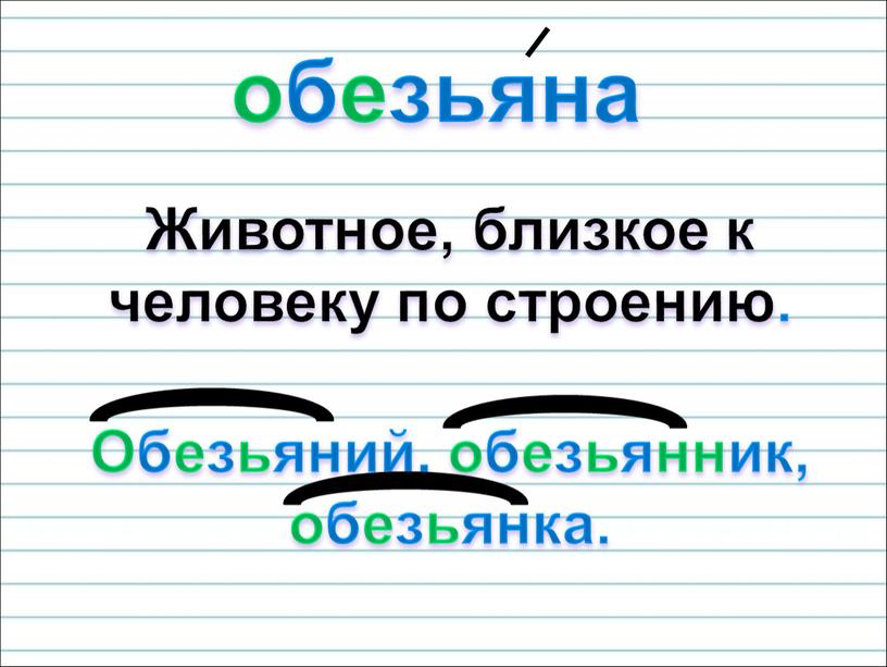 Животное, близкое к человеку по строению