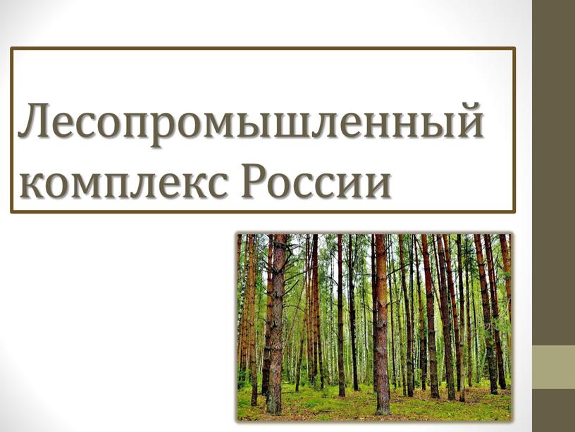 Лесопромышленный комплекс России