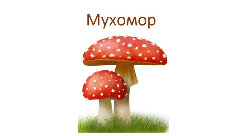 Мухомор