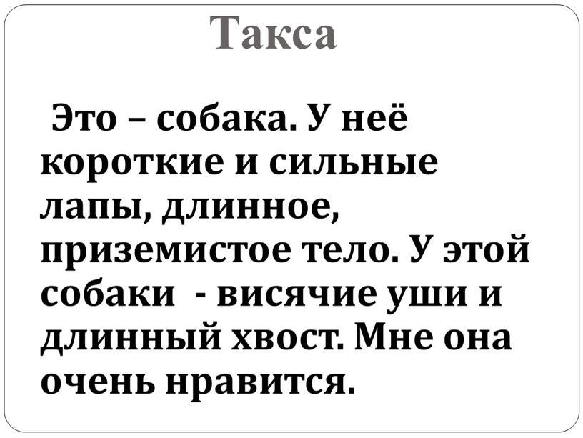 Это – собака. У неё короткие и сильные лапы, длинное, приземистое тело