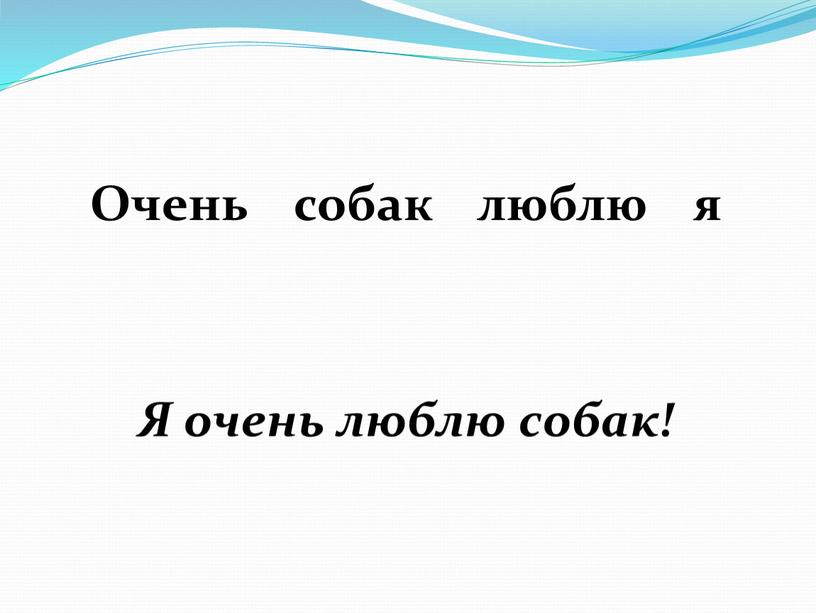 Очень собак люблю я Я очень люблю собак!