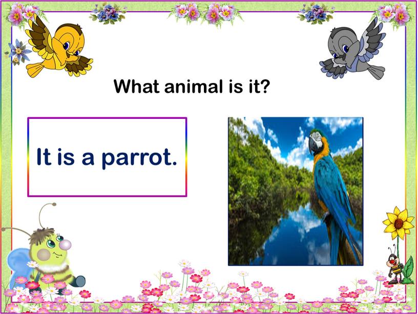 What animal is it? It is a parrot