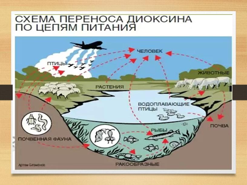 Учебно-методическое пособие по Экологическим основам природопользования