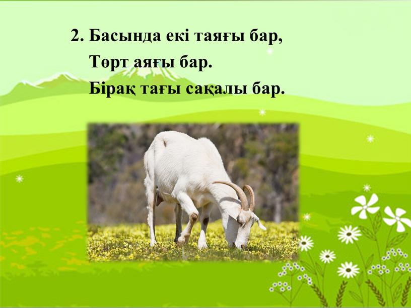 Басында екі таяғы бар,