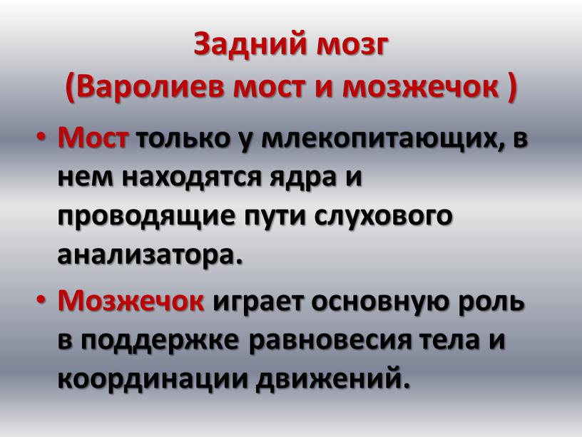 Задний мозг (Варолиев мост и мозжечок )