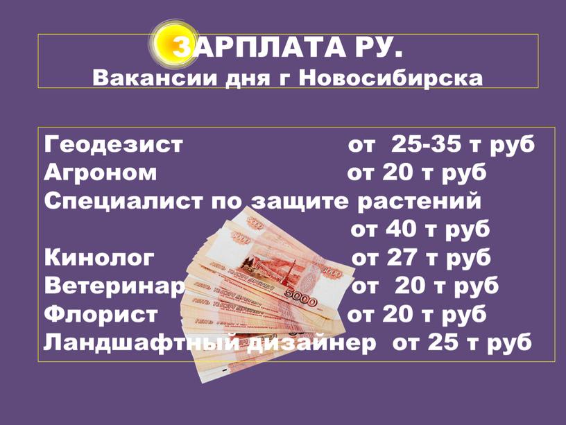 ЗАРПЛАТА РУ. Вакансии дня г Новосибирска