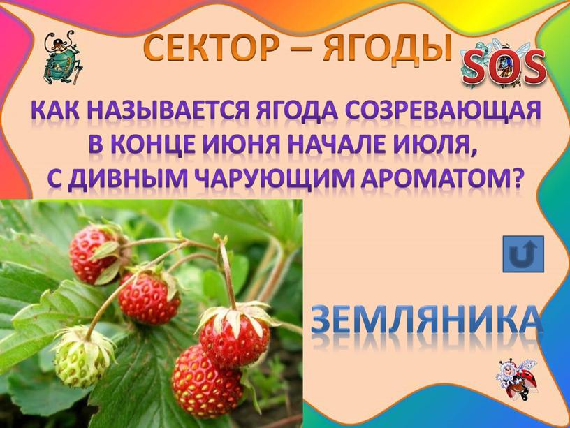 СЕКТОР – ЯГОДЫ SOS Как называется ягода созревающая