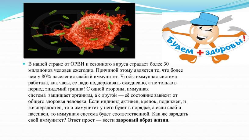 В нашей стране от ОРВИ и сезонного вируса страдает более 30 миллионов человек ежегодно