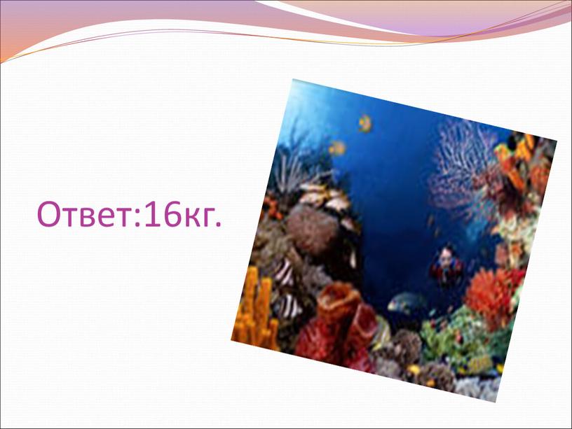 Ответ:16кг.