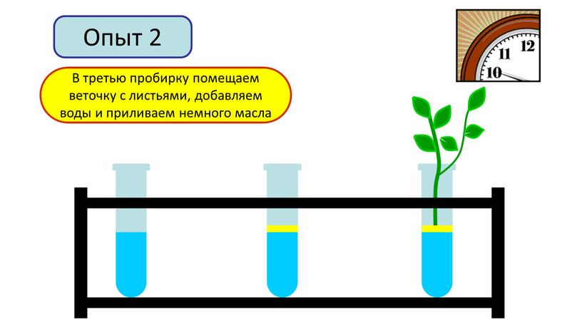 Опыт 2 В первую пробирку добавим немного воды