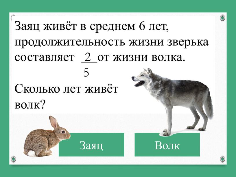 Волк Заяц Заяц живёт в среднем 6 лет, продолжительность жизни зверька составляет 2 от жизни волка