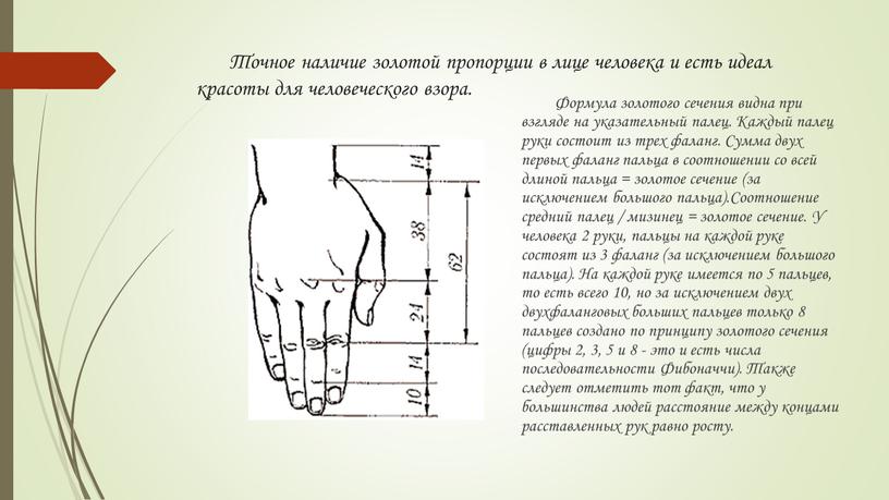 Точное наличие золотой пропорции в лице человека и есть идеал красоты для человеческого взора