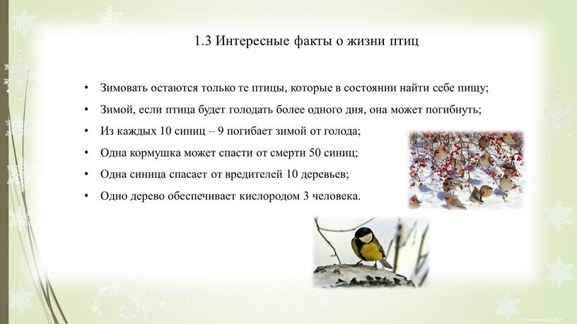 Интересные факты о жизни птиц Зимовать остаются только те птицы, которые в состоянии найти себе пищу;