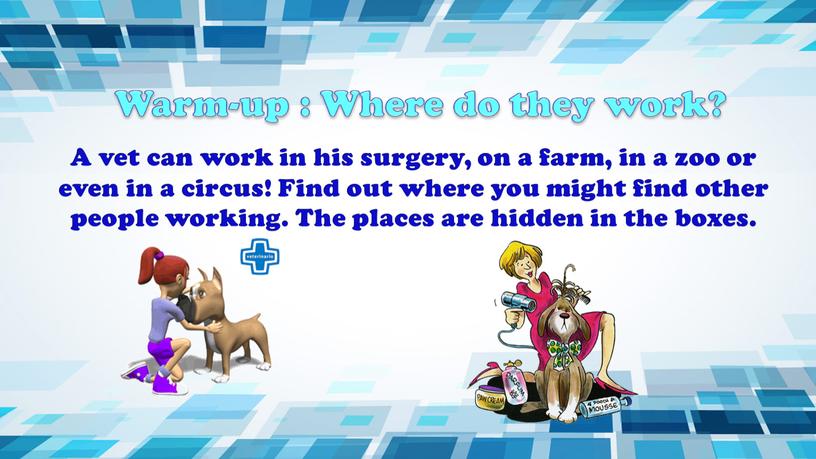 A vet can work in his surgery, on a farm, in a zoo or even in a circus!