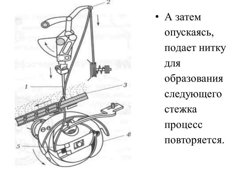 А затем опускаясь, подает нитку для образования следующего стежка процесс повторяется