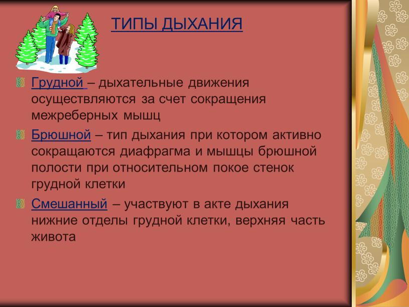 ТИПЫ ДЫХАНИЯ Грудной – дыхательные движения осуществляются за счет сокращения межреберных мышц