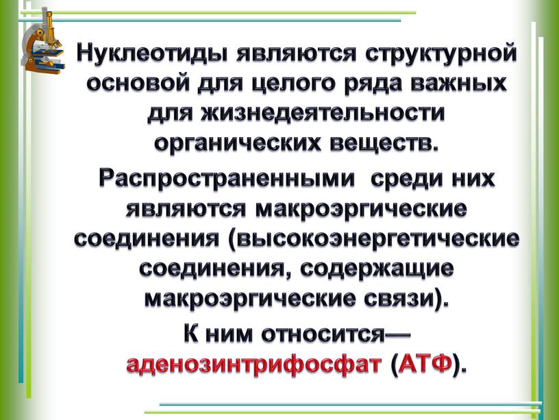 Нуклеотиды являются структурной основой для целого ряда важных для жизнедеятельности органических веществ