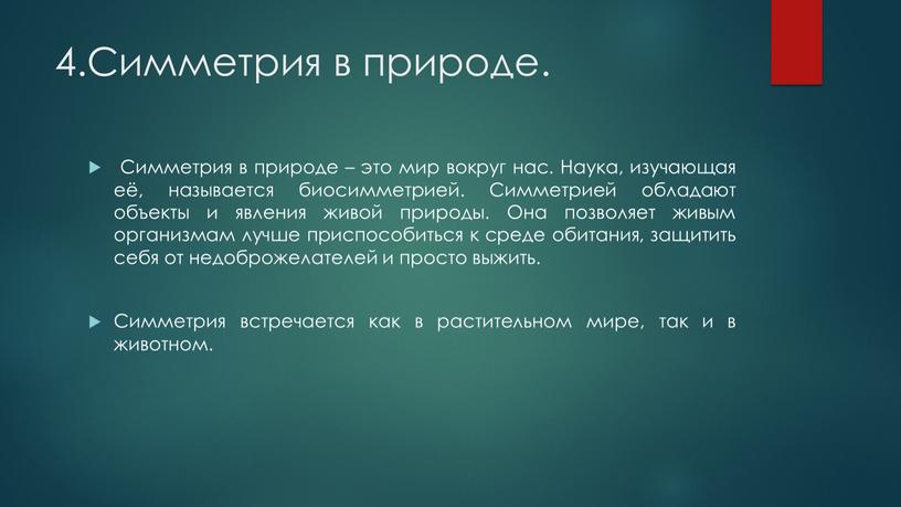 Симметрия в природе. Симметрия в природе – это мир вокруг нас