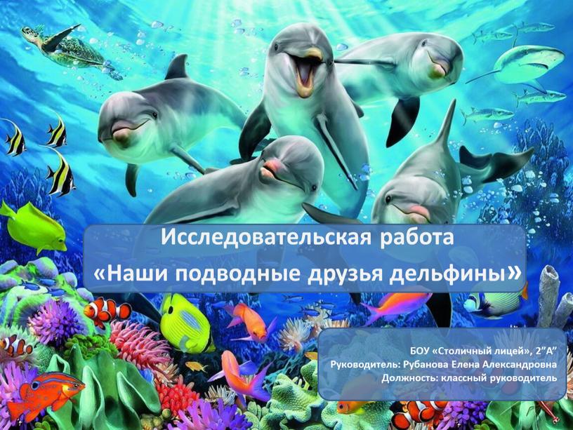 Исследовательская работа «Наши подводные друзья дельфины»