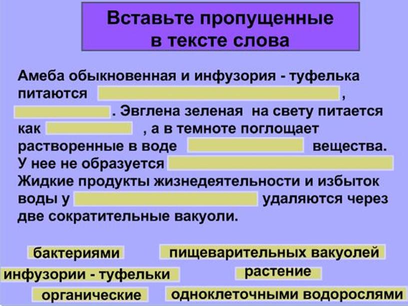 Презентация по биологии 7 класс "Общая характеристика простейших"