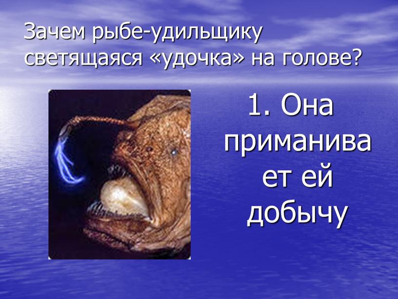 Зачем рыбе-удильщику светящаяся «удочка» на голове? 1