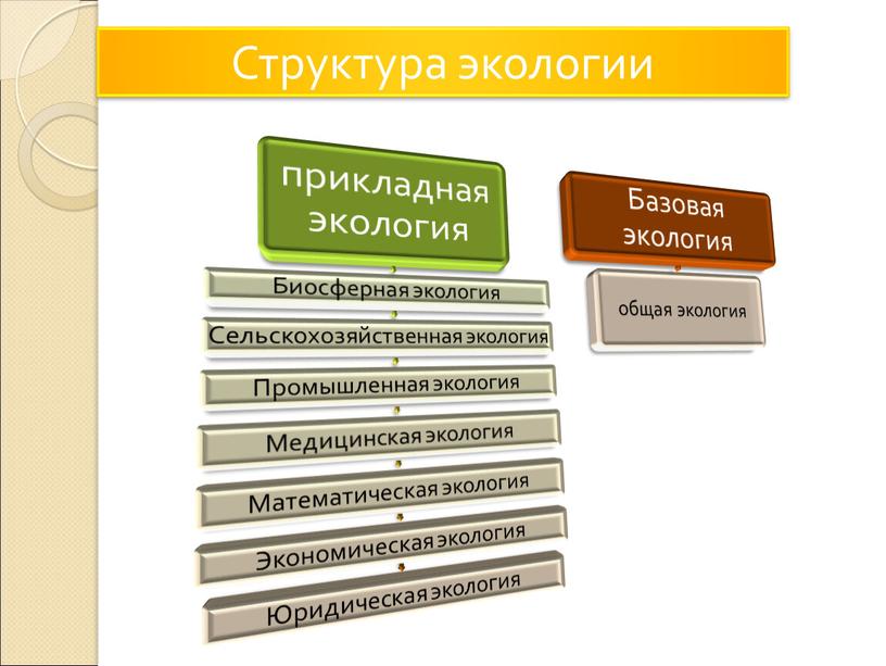 Схема структура экологии